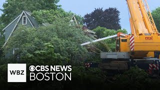 Massachusetts homeowners clean up after fastmoving storm brings down trees [upl. by Jonna]