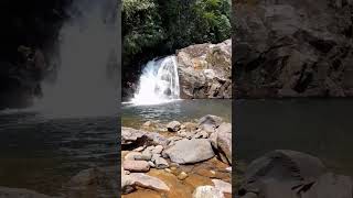 water fall in sinharaja rain forest [upl. by Dick]