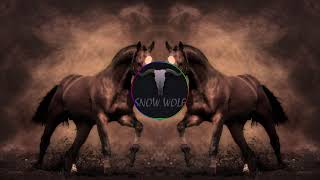 Salvatore Ganacci  Horse Bass Boosted [upl. by Annawt]