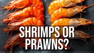 What Separates Shrimp From Prawns [upl. by Atinehc]