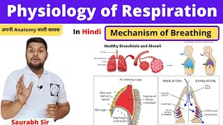 Mechanism of RespirationPhysiology of respiration in Hindi inspiration expirationNursing NEET [upl. by Keese976]