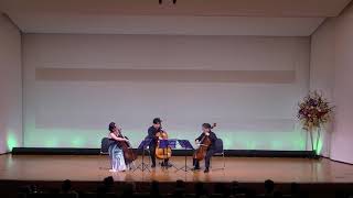 FJHaydn  Divertimento Dmajor for 3Violoncellos [upl. by Etnahs]