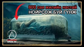 Тисулын гүнж буюу 50 сая жилийн настай булш [upl. by Kassaraba]