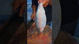 Hilsa fish cutting skills trending seafood viralvideo shorts instagram funny fishfry fish [upl. by Lettig]