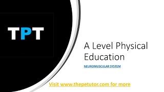 A Level Live  Neuromuscular System [upl. by Goldberg]