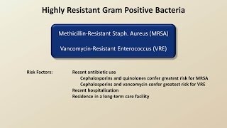 Antibiotics for Gram Positive Infections Antibiotics  Lecture 4 [upl. by Lalitta490]