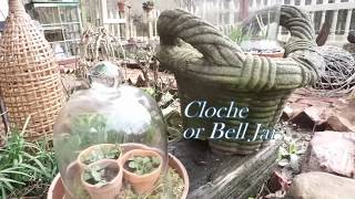 The Garden Cloche its history uses and design Part 1 [upl. by Ranger225]