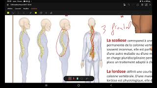 UE1 Semiologie Respiratoire  Les signes physiques  Part 1 Inspection [upl. by Ahsienauq]