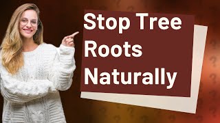 How to stop tree roots from growing back naturally [upl. by Maher]