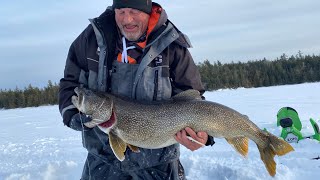 LAKE TEMAGAMI GIANT  30 POUND Catch and Release Lake Trout Ice Fishing [upl. by Tullusus]