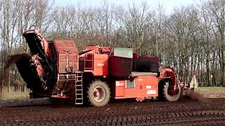 dewulf RA 3060 Mega R 3000 mit DeutzFahr TTV 7250 Gespann beim Schwarzwurzeln roden [upl. by Lyret820]