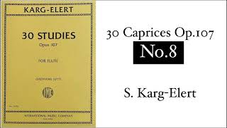 【Flute】30 Caprices Op107 No8  SKargElert [upl. by Enial758]