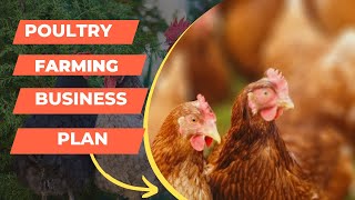 Poultry Farming Business Plan  Best Tips to Expand the Livestock [upl. by Janet]