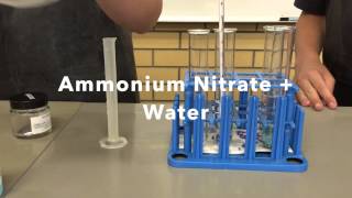 Endothermic and Exothermic Reactions [upl. by Isteb]