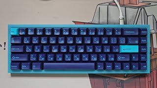 타건할 맛 나는 저소음 스위치  Novelkeys NK65 entry blumengazzew boba u4 silent tactile [upl. by Buddy]