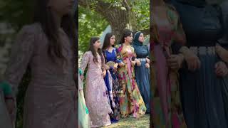 Kurdish Dance youtubeshorts [upl. by Eldrid]