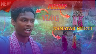 Tamatar kheti Pushup Vlog Video [upl. by Ailecec]