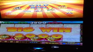 BIG WIN on Da Bar Slot HUGE Wins on Classic Slot  SlotMaxWin197 [upl. by Odlamur]