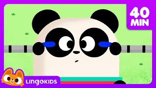 Head Shoulders Knees and Toes 🎶  More Fun Songs for Kids  Lingokids [upl. by Hpesojnhoj]