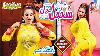 Sumbal Khan 2024 Punjabi Medley Video [upl. by Caesaria]