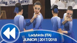 Ladybirds ITA  Free 20172018 [upl. by Tati]