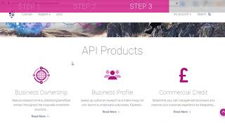 API Developer Portal  how to make a sandbox API call [upl. by Gothard295]