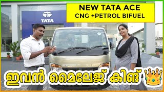 New TATA ACE BIFUEL PICKUP TRUCK CNGPETROL  Popular Mega Motors [upl. by Raffarty]