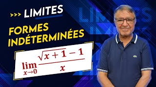 Calcul de Limites  Formes Indéterminées  Ex 4 [upl. by Bever]