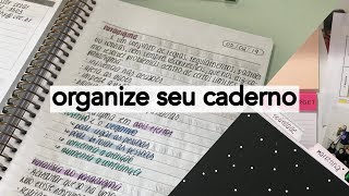 Dicas para organizar o caderno [upl. by Lafleur]