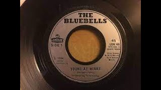 The Bluebells Young At Heart Lyrics [upl. by Cointon]