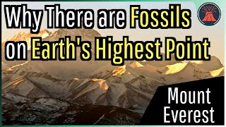 Why Ocean Fossils Exist on the Summit of Mount Everest [upl. by Lasorella]