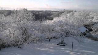 Tokyo Snow View from Hilltop 生田緑地からの雪景色 [upl. by Adiv]