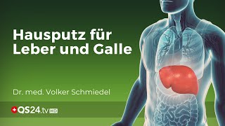 Hausputz für Leber und Galle  Dr med Volker Schmiedel  Naturmedizin  QS24 Gesundheitsfernsehen [upl. by Trager]