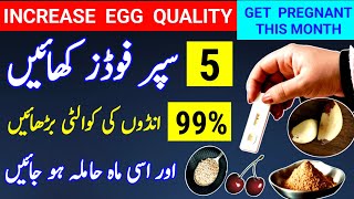 5 Supper Foods To increase Egg Quality 99 And Get Pregnant This Month How To Conceive dr tahir [upl. by Atnahsal]