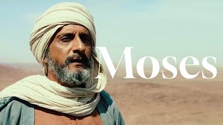 Moses and the story of Exodus [upl. by Leonanie]