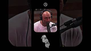 Im Gonna Change My Life  Joe Rogan [upl. by Ainnek]