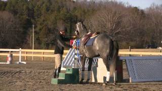 Part 1 of the Retired Race Horse Thoroughbred Training Project with Eric Dierks [upl. by Llenal]