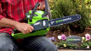 GreenWorks 40V Cordless 12 Inch Chainsaw [upl. by Raffo200]