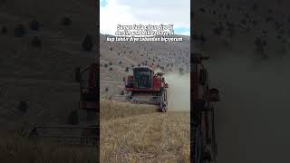 Taştan başka bir şey takılmıyor ki 😂 instagram tiktok tarım tarla farming altın biçerdöver [upl. by Fairlie]