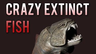 CRAZY EXTINCT FISH  Placoderms [upl. by Aesoh]