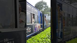 Darjeeling Himalayan Railway [upl. by Ullman]