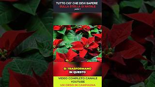 ORIGINI e CURIOSITÀ della Stella di Natale Parte 1 shorts stelladinatale giardinaggio garden [upl. by Grange]