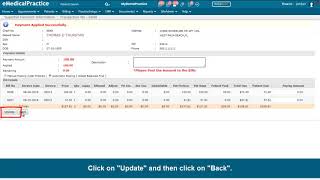 How to Apply Payments to a Single or Multiple Bills [upl. by Tupler970]