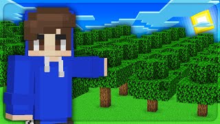 The OP Forest  Minecraft Skyblock  AkumaMC [upl. by Alyag]