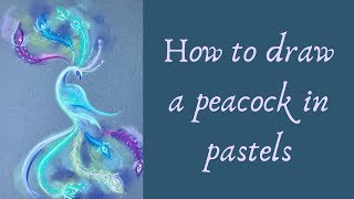 How To Draw A Peacock In Pastels [upl. by Kulda299]