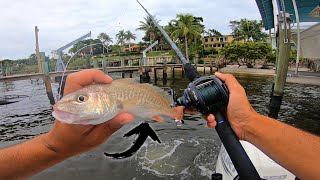 Flipping LIVE CROAKERS Under Docks for Giant Snook [upl. by Calderon]