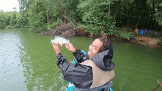 Is Brushpile Fishing REALLY the Secret to Catching More Crappie [upl. by Margaux519]