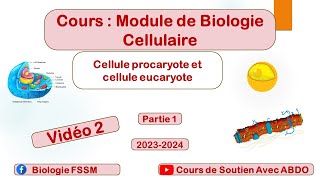 Biologie Cellulaire BCG S1 la Cellule Procaryote et Eucaryote Vidéo 2 [upl. by Teerprug]