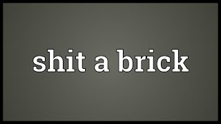 Shit a brick Meaning [upl. by Gustin]