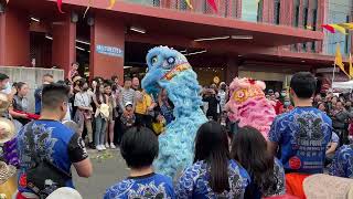 Cabramatta Moon Festival 2022  Qing Fong [upl. by Jeconiah349]